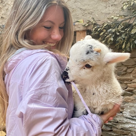 Meet your Posher, Sasha - Picture 5 of 5